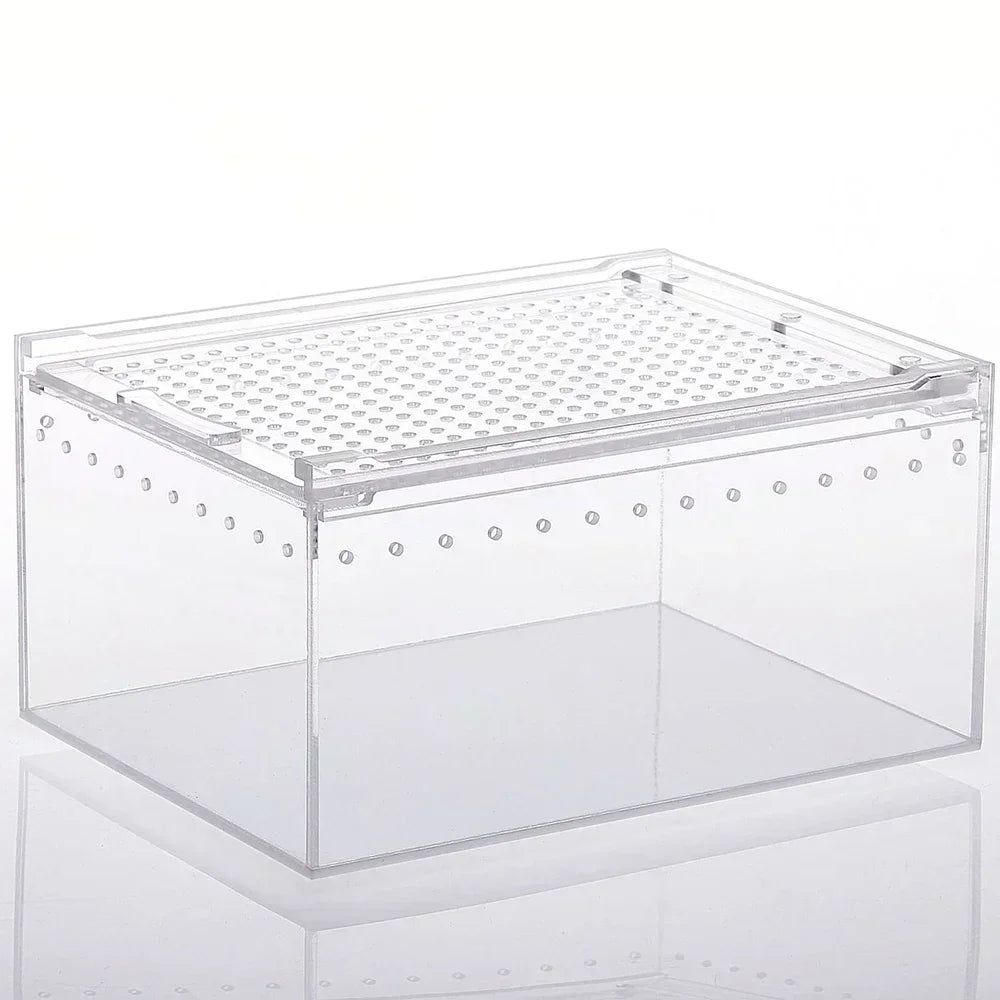 Reptile Breeding Box