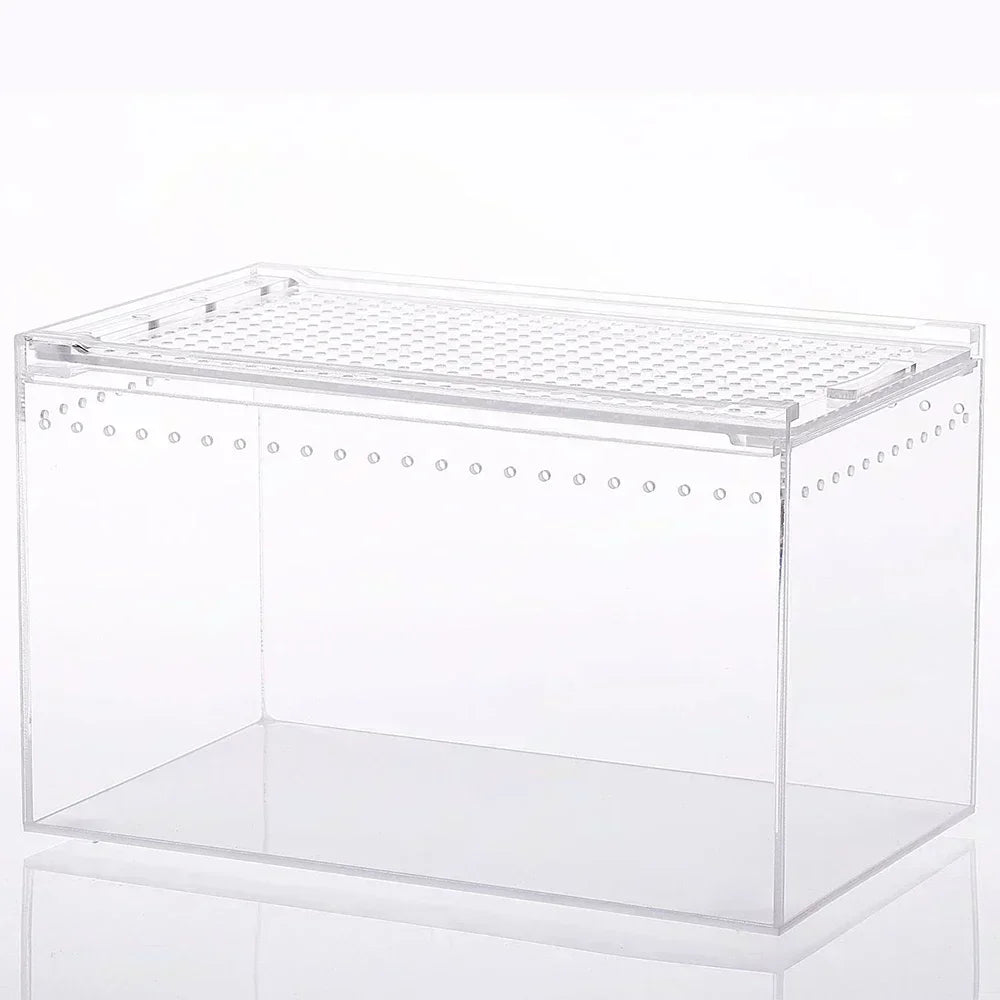 Reptile Breeding Box