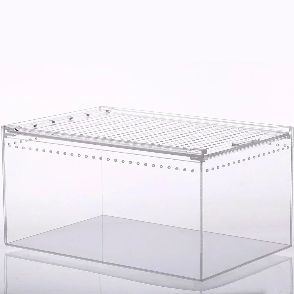 Reptile Breeding Box